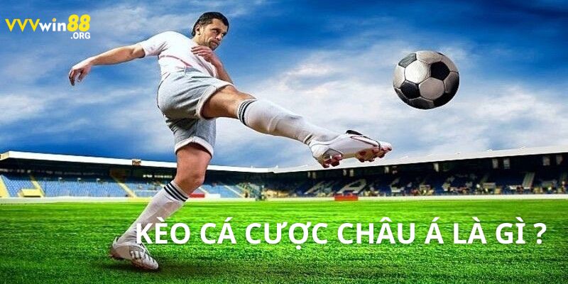 Cá Cược Châu Á: Hướng Dẫn Chi Tiết và Lý Do Nên Chọn VVVWIN88